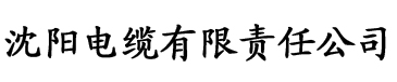 大香蕉综合在线观看电缆厂logo